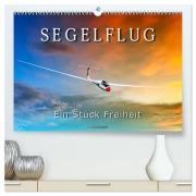 Segelflug, ein Stück Freiheit (hochwertiger Premium Wandkalender 2026 DIN A2 quer), Kunstdruck in Hochglanz - Peter Roder