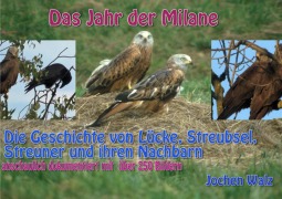 Cover-Bild zum Titel 'Das Jahr der Milane' von 'Jochen Walz'