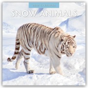Snow Animals - Arktische Tiere 2026 - 16-Monatskalender - Robin Red