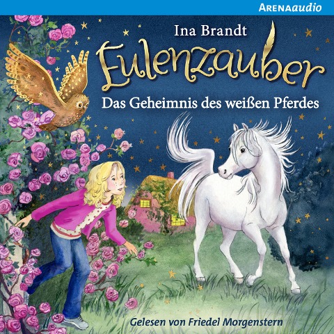 Eulenzauber (13) Das Geheimnis des weißen Pferdes - Ina Brandt