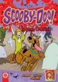 Cover-Bild zum Titel 'Scooby-Doo Ile Ingilizce Ögrenin 4.Kitap' von 'Kolektif'