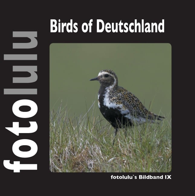 Birds of Deutschland - Fotolulu