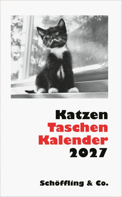 Katzen Taschenkalender 2027 - Julia Bachstein