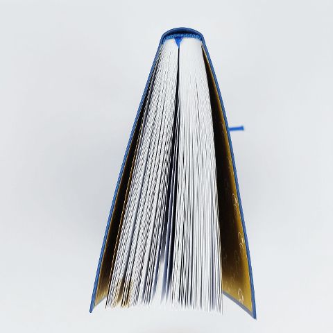 InsideView 4