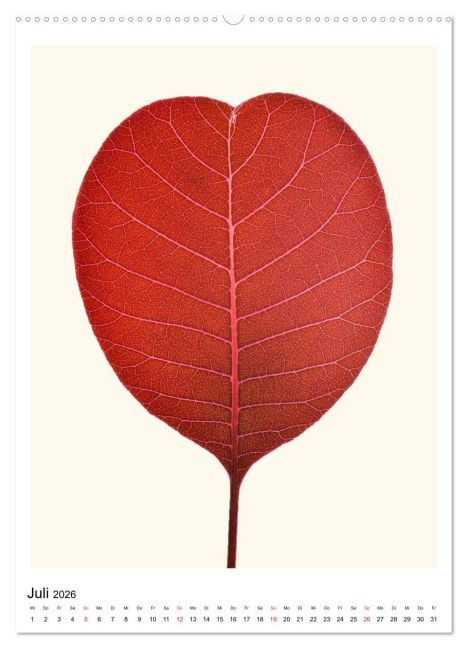 InsideView 12