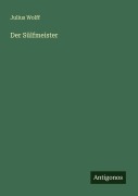 Cover-Bild zum Titel 'Der Sülfmeister' von 'Julius Wolff'