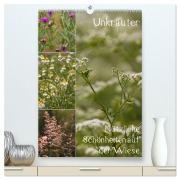 Cover-Bild zum Titel 'Unkräuter - Nützliche Schönheiten auf der Wiese (hochwertiger Premium Wandkalender 2026 DIN A2 hoch), Kunstdruck in Hochglanz' von 'Drachenkind-Fotografie Drachenkind-Fotografie'