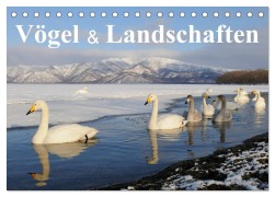 Cover-Bild zum Titel 'Vögel & Landschaften (Tischkalender 2026 DIN A5 quer), CALVENDO Monatskalender' von 'Birdimagency. Com Birdimagency. Com'