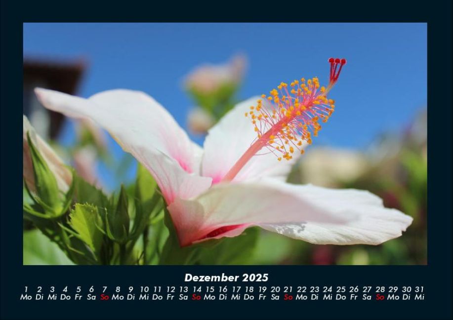 InsideView 4