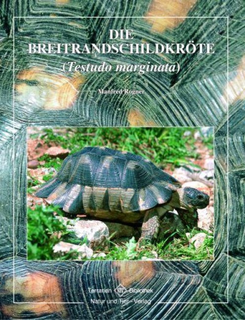 Breitrandschildkröte - Manfred Rogner