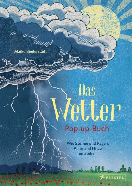 Das Wetter. Pop-up-Buch - Maike Biederstädt