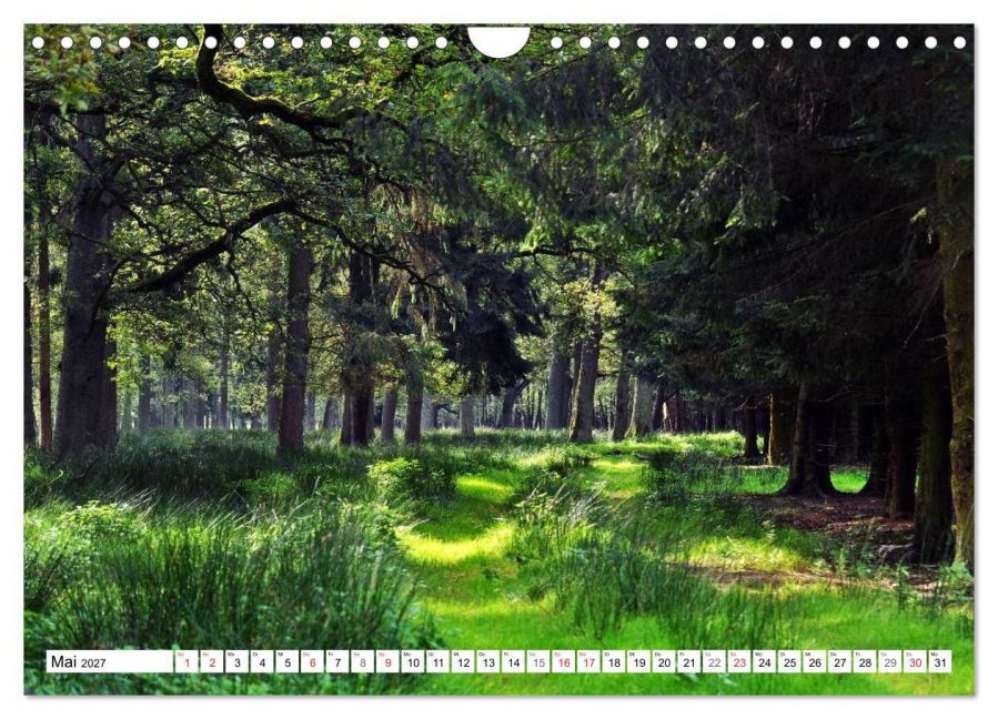 InsideView 10