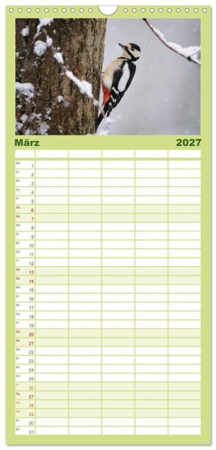 InsideView 7