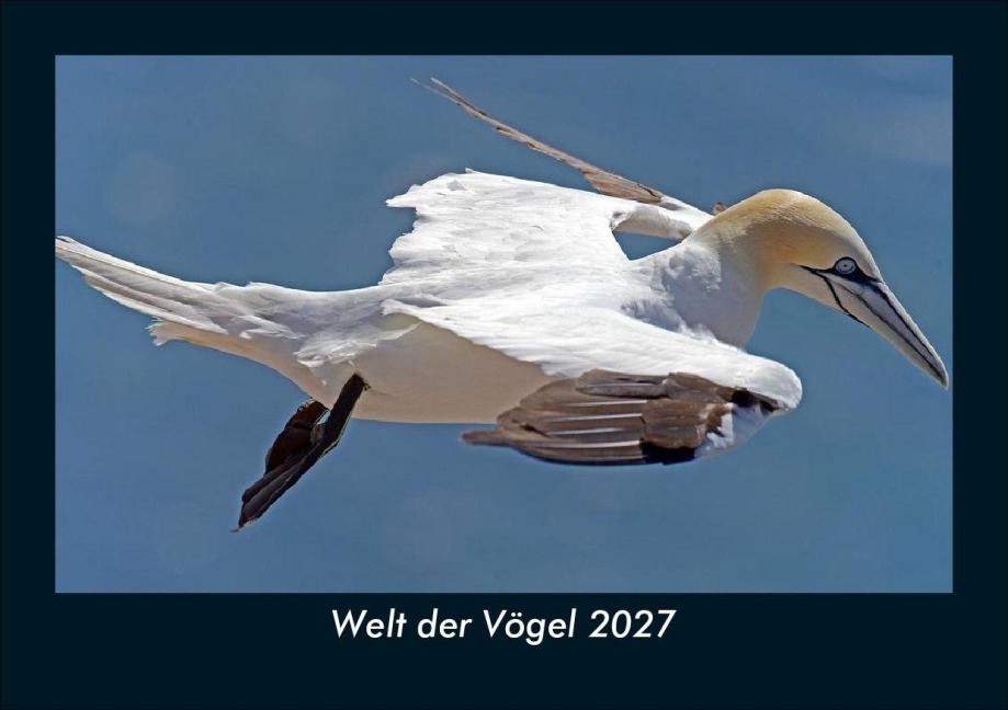 Welt der Vögel 2027 Fotokalender DIN A5 - Tobias Schmitt, Kevin Heber