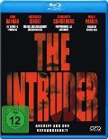 Cover-Bild zum Titel 'The Intruder - Angriff aus der Vergangenheit' von 'Jamie Brown, Paul Mayersberg, Brooke Leimas, Haim Frank Ilfman'