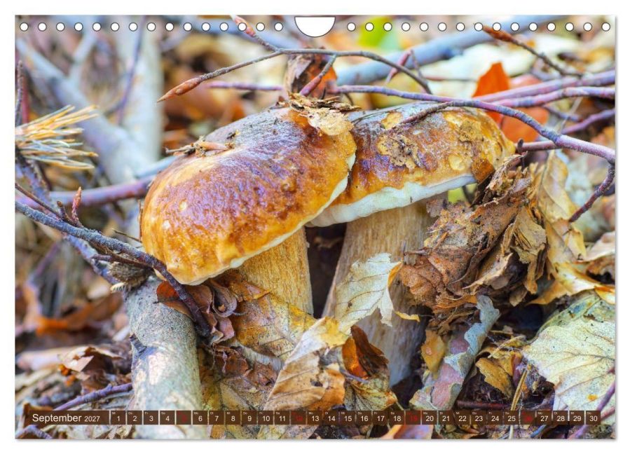 InsideView 14