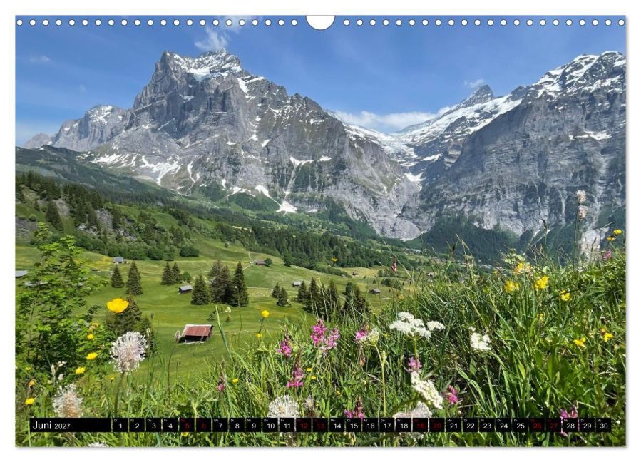 InsideView 11