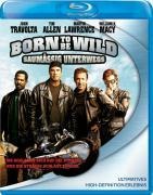 Born to be Wild - Saumäßig Unterwegs - Brad Copeland, Teddy Castellucci