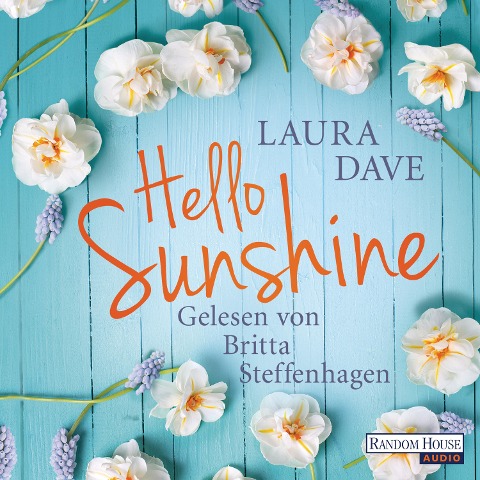 Hello Sunshine - Laura Dave