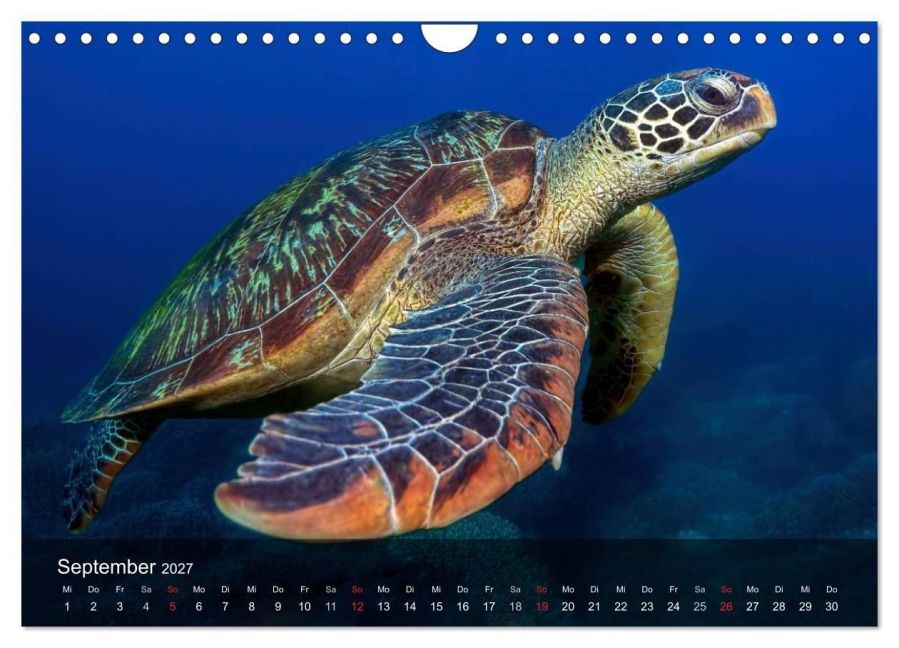 InsideView 14