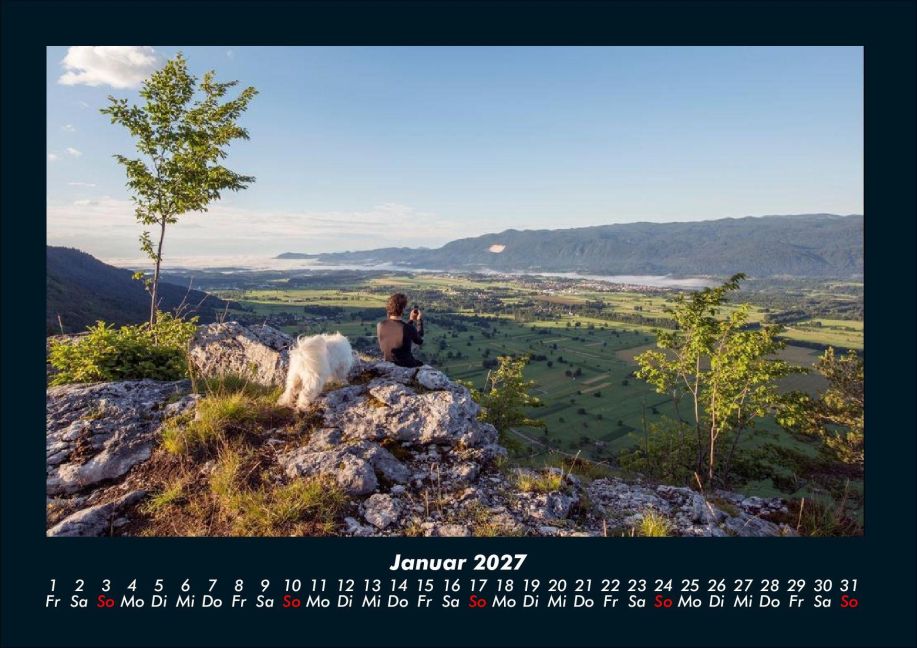 InsideView 5
