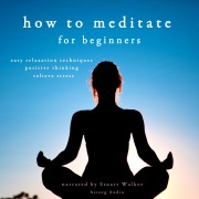 Cover-Bild zum Titel 'How to meditate' von 'John Mac'