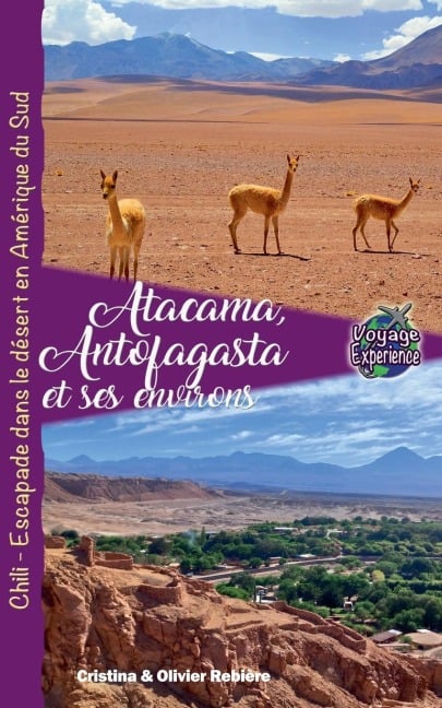 Atacama, Antofagasta et les Environs - Cristina Rebiere