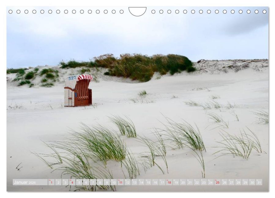 InsideView 6