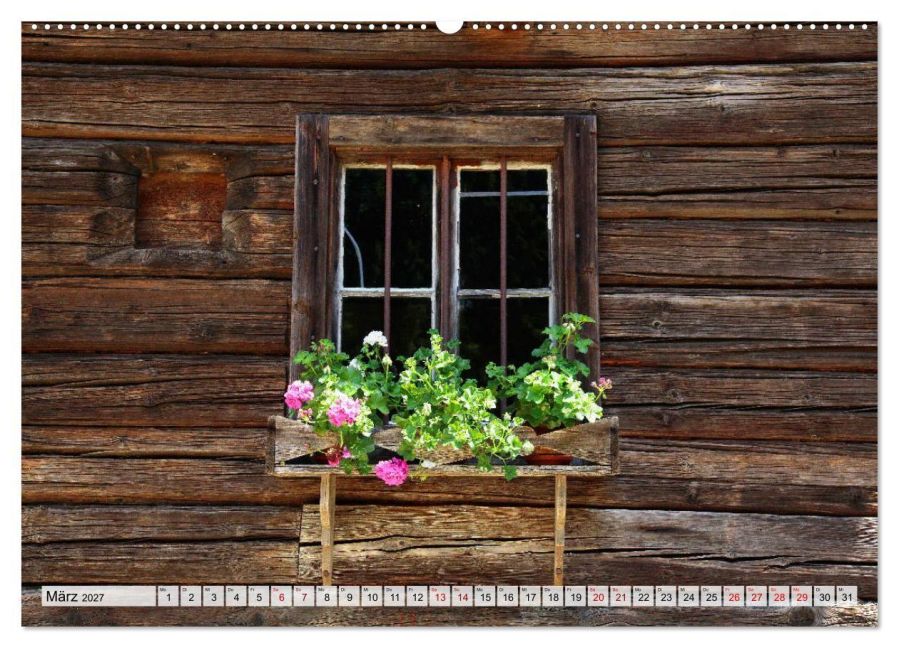 InsideView 7