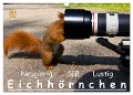Eichhörnchen (Wandkalender 2024 DIN A3 quer), CALVENDO Monatskalender - Ralph Reichert