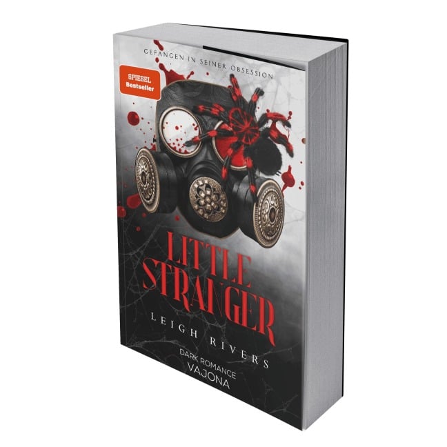 Little Stranger - Leigh Rivers