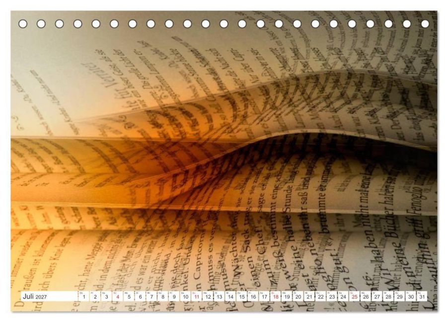 InsideView 12