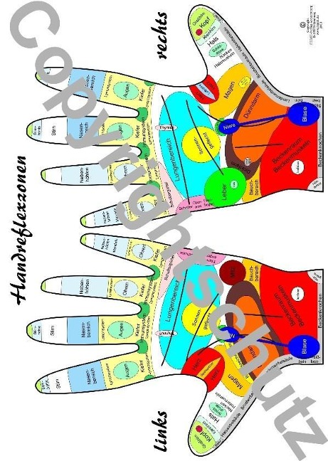 Handreflexzonenübersicht - Tanja Aeckersberg