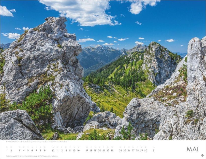 InsideView 5