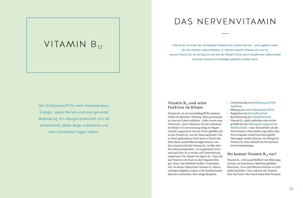 InsideView 4
