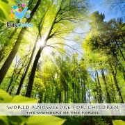 Cover-Bild zum Titel 'The wonders of the forest' von 'KidsChoice'