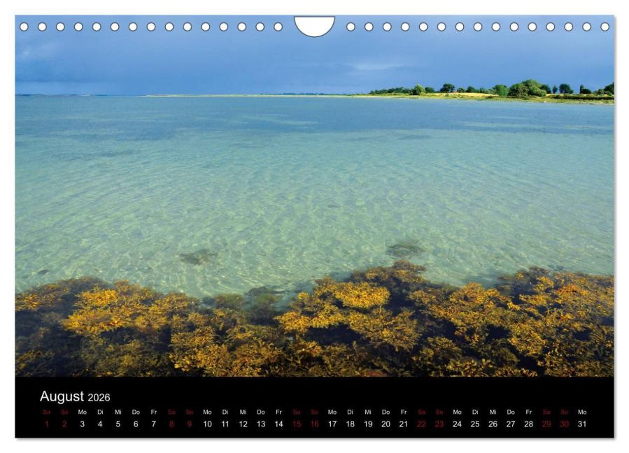 InsideView 13