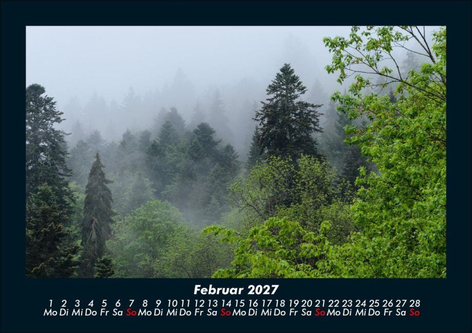 InsideView 6