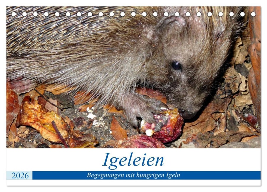 Igeleien - Begegnungen mit hungrigen Igeln (Tischkalender 2026 DIN A5 quer), CALVENDO Monatskalender - Henning von Löwis of Menar