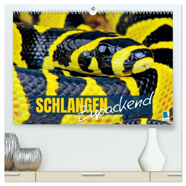 Schlangen: Zupackend (hochwertiger Premium Wandkalender 2026 DIN A2 quer), Kunstdruck in Hochglanz - Calvendo Calvendo