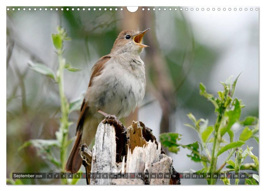 InsideView 14