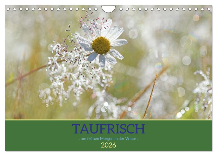 Taufrisch ... am frühen Morgen in der Wiese (Wandkalender 2026 DIN A4 quer), CALVENDO Monatskalender - Gugigei Gugigei