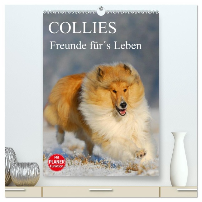 Collies - Freunde für¿s Leben (hochwertiger Premium Wandkalender 2026 DIN A2 hoch), Kunstdruck in Hochglanz - Sigrid Starick