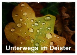 Cover-Bild zum Titel 'Unterwegs im Deister (Wandkalender 2026 DIN A2 quer), CALVENDO Monatskalender' von 'Simon Witt'