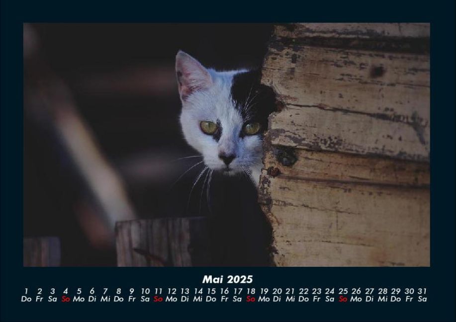 InsideView 9