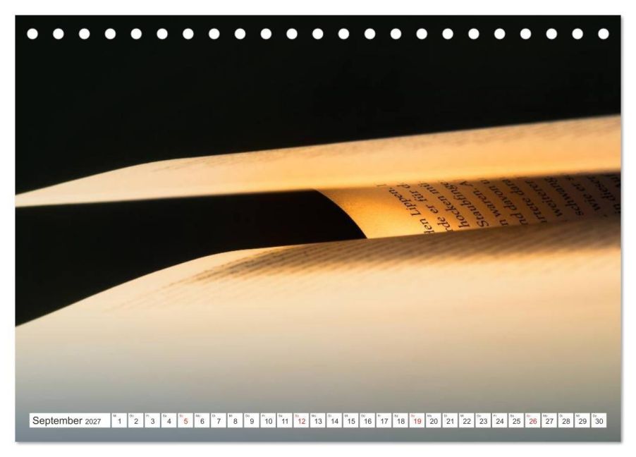 InsideView 14