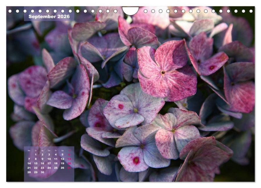 InsideView 14