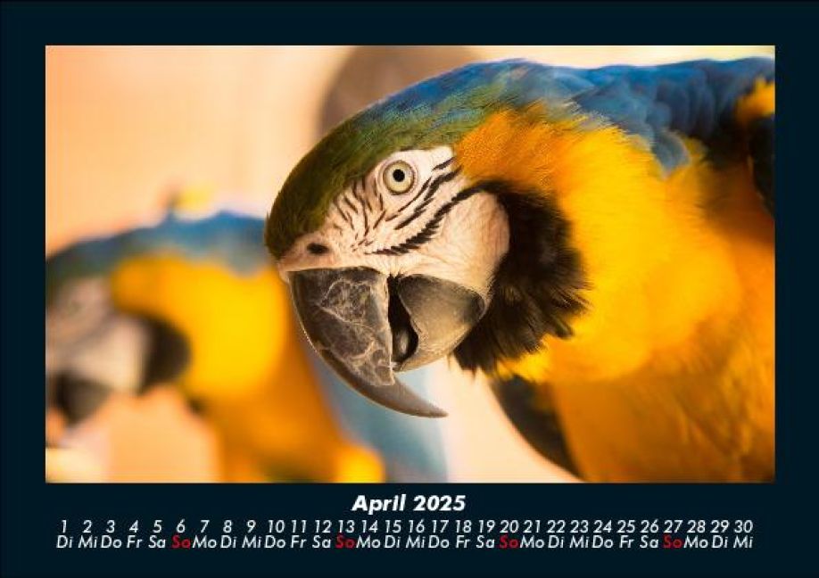 InsideView 8