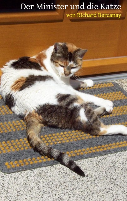 Der Minister und die Katze - Richard Bercanay