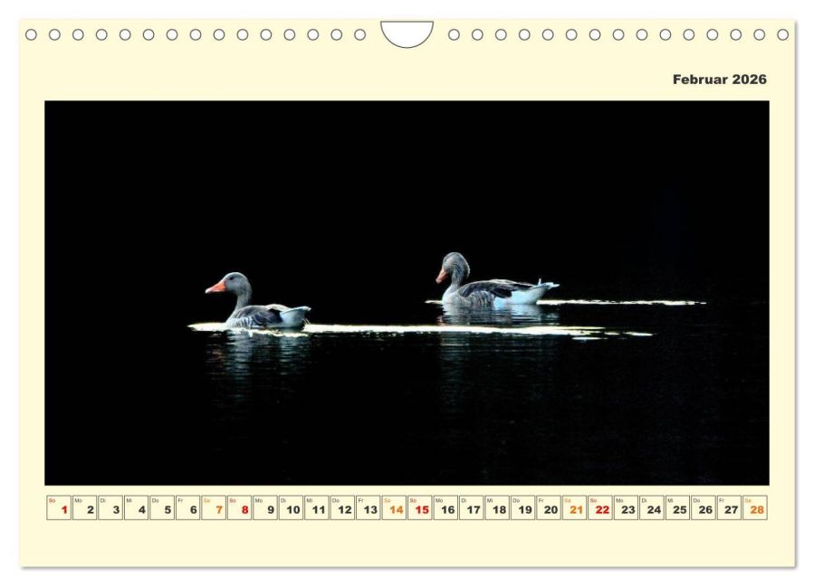 InsideView 7